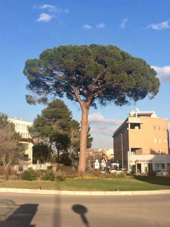 Residence Al Pino マテーラ エクステリア 写真